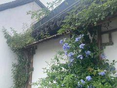-枫桥夜泊