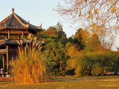 -东湖落雁景区