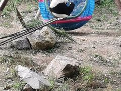 -宁波野生动物园