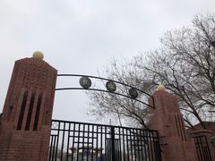 -桃花堤公园