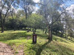 -关山草原