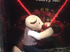 -济州岛泰迪熊博物馆