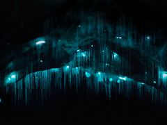 -怀托摩萤火虫洞