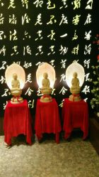 android_upload_pic-雅曼妮