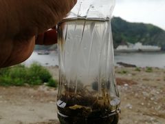-大鹿岛