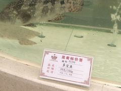 -苏州吴中白金汉爵大酒店