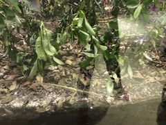 -上海昆虫博物馆