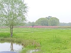 -良渚古城遗址公园