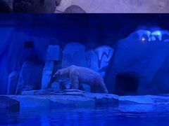 -上海海昌海洋公园