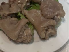 -丁老爷子苏香圆
