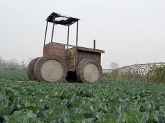 -中国天府农业博览园