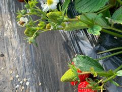 -兴芮温泉度假区