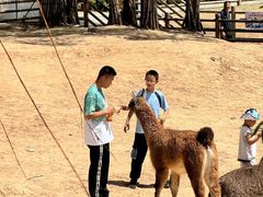 -鄂尔多斯野生动物园