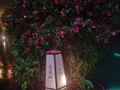 -杭州第一世界大酒店·云曼温泉
