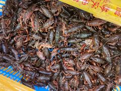 -华威西营里农产品批发市场