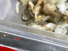 -李刚鸡西刀削面