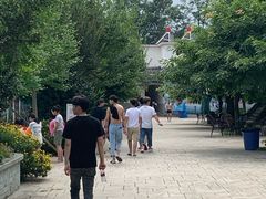 -海豚湾梦幻水上乐园