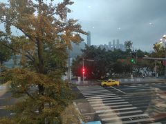 -张鸭子大酒楼(南滨路店)