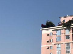 -绝城芋儿鸡(犀浦旗舰店)