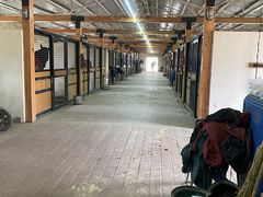 -北京群众马术培训基地