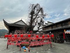 -婺源梦里老家大型山水实景演出