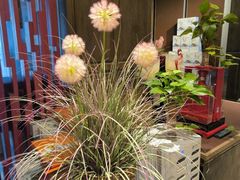 -徽宴楼·玫瑰之约(祥源店)