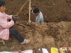 -解家河南菜(商鼎路店)