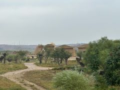 -水洞沟旅游区