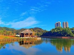-香山湖公园