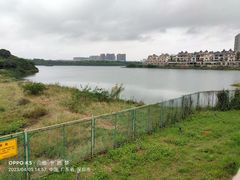 -立新湖公园
