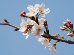 -新江湾城公园