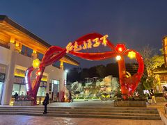 -三亚红色娘子军演艺公园景区