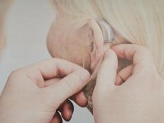 -海之声助听器 瑞士峰力直营中心(华麟大厦店)