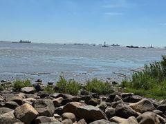 -吴淞炮台湾湿地森林公园烧烤区