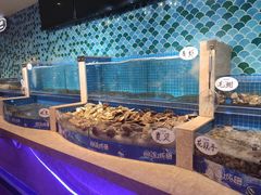 -乔哥铭洋海鲜自助(皇城恒隆广场店)