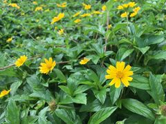 -令狐冲烤鱼·烧菜馆(达明店)