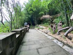 -铁山坪森林公园