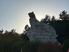 -帽儿山国家森林公园