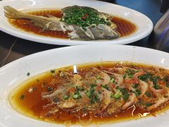 -驻海渔市(置信店)