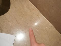 -天津滨海圣光皇冠假日酒店