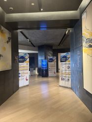 -凯宾斯基饭店·宴会厅