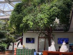 -忆江南·生态餐饮宴会酒店