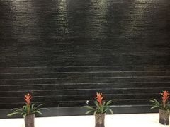 -丽华园(青少年宫店)