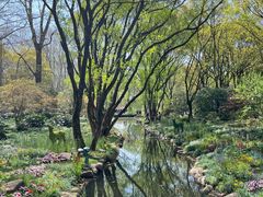 -上海共青森林公园