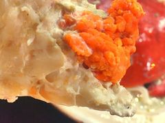 -龙海鲜螃蟹王(宏茂桥店)