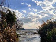 -捞渔河湿地公园