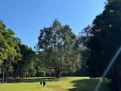 -深圳仙湖植物园