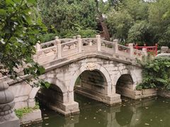 -莲池书院博物馆