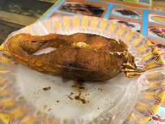 -艾力江和田馕坑烤肉店