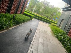 -万科前海企业公馆